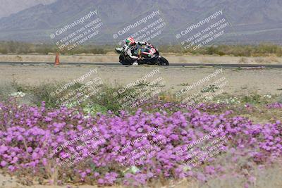 media/Feb-04-2023-SoCal Trackdays (Sat) [[8a776bf2c3]]/Turn 15 Inside Blooming (1050am)/